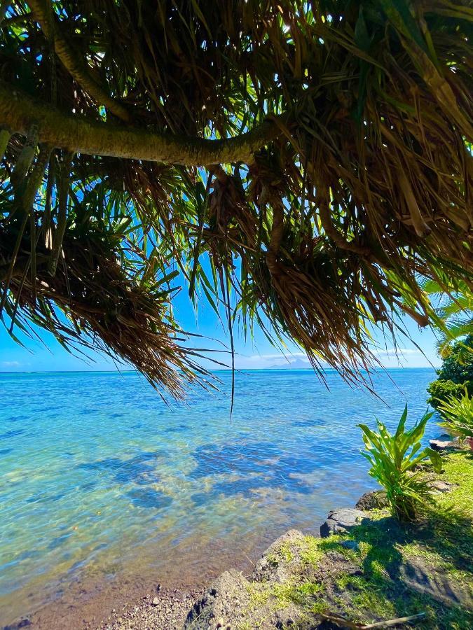 O'Coco Bungalow- Breathtaking Waterfront Views, Endless Memories Paea 外观 照片