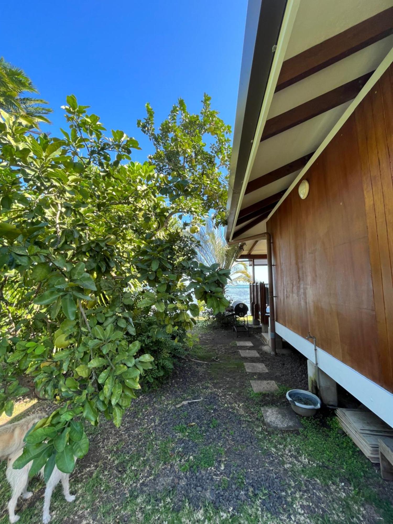 O'Coco Bungalow- Breathtaking Waterfront Views, Endless Memories Paea 外观 照片