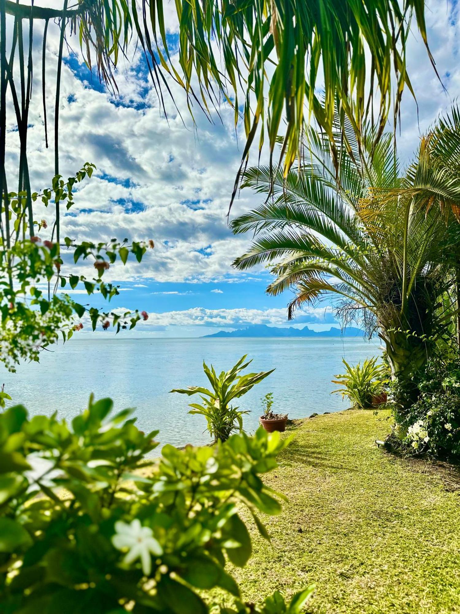 O'Coco Bungalow- Breathtaking Waterfront Views, Endless Memories Paea 外观 照片