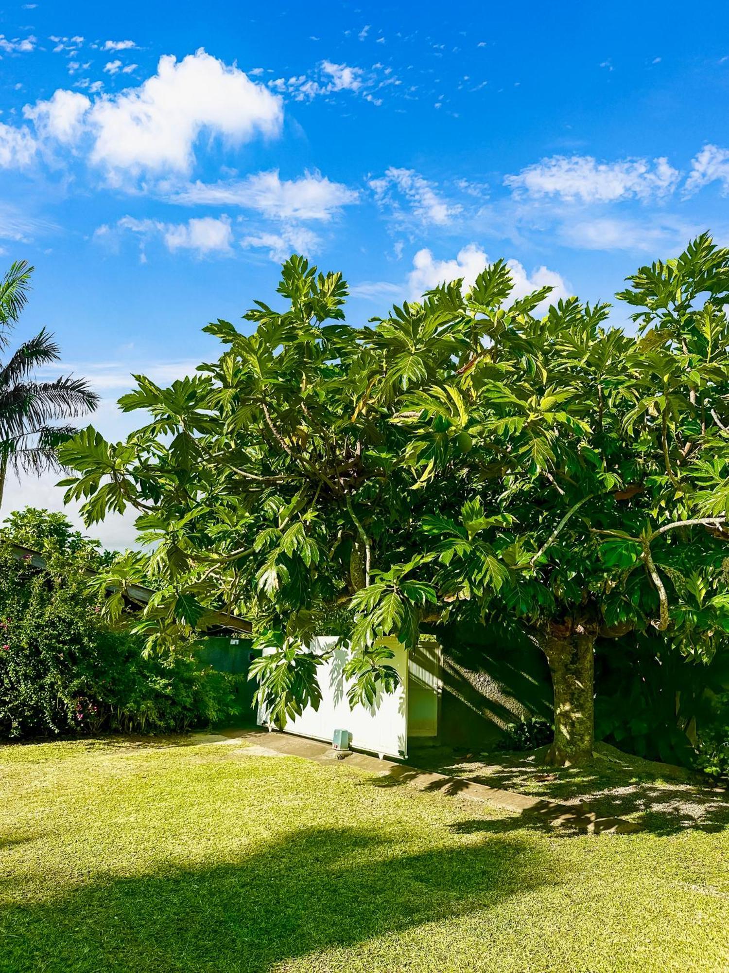 O'Coco Bungalow- Breathtaking Waterfront Views, Endless Memories Paea 外观 照片